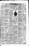 Folkestone Express, Sandgate, Shorncliffe & Hythe Advertiser Saturday 04 January 1879 Page 3