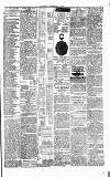 Folkestone Express, Sandgate, Shorncliffe & Hythe Advertiser Saturday 15 May 1880 Page 3