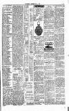 Folkestone Express, Sandgate, Shorncliffe & Hythe Advertiser Saturday 12 June 1880 Page 3