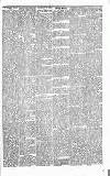 Folkestone Express, Sandgate, Shorncliffe & Hythe Advertiser Saturday 12 June 1880 Page 7