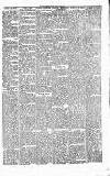 Folkestone Express, Sandgate, Shorncliffe & Hythe Advertiser Saturday 12 March 1881 Page 7