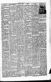 Folkestone Express, Sandgate, Shorncliffe & Hythe Advertiser Saturday 02 June 1883 Page 7