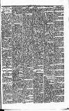 Folkestone Express, Sandgate, Shorncliffe & Hythe Advertiser Saturday 19 April 1884 Page 7