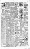 Folkestone Express, Sandgate, Shorncliffe & Hythe Advertiser Wednesday 06 May 1891 Page 3