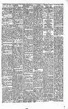 Folkestone Express, Sandgate, Shorncliffe & Hythe Advertiser Wednesday 11 January 1893 Page 5