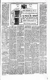 Folkestone Express, Sandgate, Shorncliffe & Hythe Advertiser Saturday 01 April 1893 Page 3