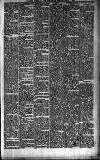 Folkestone Express, Sandgate, Shorncliffe & Hythe Advertiser Wednesday 03 January 1894 Page 5