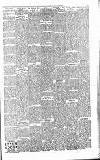 Folkestone Express, Sandgate, Shorncliffe & Hythe Advertiser Saturday 05 January 1901 Page 3