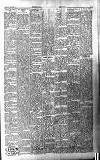 Folkestone Express, Sandgate, Shorncliffe & Hythe Advertiser Wednesday 09 January 1901 Page 7