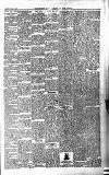 Folkestone Express, Sandgate, Shorncliffe & Hythe Advertiser Wednesday 06 March 1901 Page 7