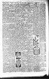Folkestone Express, Sandgate, Shorncliffe & Hythe Advertiser Saturday 10 January 1903 Page 7