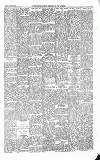 Folkestone Express, Sandgate, Shorncliffe & Hythe Advertiser Saturday 28 March 1903 Page 5