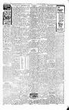 Folkestone Express, Sandgate, Shorncliffe & Hythe Advertiser Wednesday 01 April 1903 Page 7