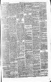 East Kent Gazette Saturday 04 December 1869 Page 7