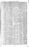 East Kent Gazette Saturday 18 November 1871 Page 3
