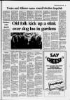 East Kent Gazette Thursday 03 April 1986 Page 17