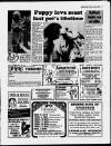 East Kent Gazette Thursday 22 June 1989 Page 17