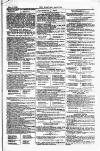 Sporting Gazette Saturday 06 January 1872 Page 7