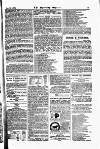 Sporting Gazette Saturday 16 January 1875 Page 19