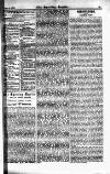 Sporting Gazette Saturday 08 January 1876 Page 5
