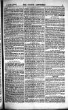Sporting Gazette Saturday 21 February 1880 Page 19