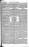 Sporting Gazette Saturday 30 October 1880 Page 17