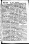 Sporting Gazette Saturday 28 January 1882 Page 19