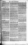 Sporting Gazette Saturday 12 November 1892 Page 38