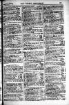 Sporting Gazette Saturday 29 May 1897 Page 13