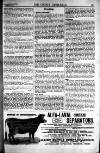 Sporting Gazette Saturday 13 January 1900 Page 11