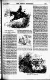 Sporting Gazette Saturday 15 December 1900 Page 13