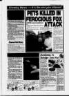 Crawley News Wednesday 16 February 1994 Page 17