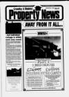 Crawley News Wednesday 22 June 1994 Page 33