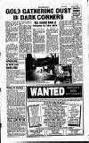 Crawley News Wednesday 28 January 1998 Page 17