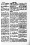 Justice Saturday 04 November 1893 Page 5
