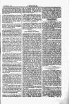 Justice Saturday 25 November 1893 Page 5