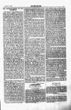 Justice Saturday 13 January 1894 Page 3