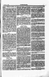 Justice Saturday 13 October 1894 Page 5