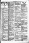 Justice Saturday 02 February 1907 Page 11