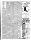 County Down Spectator and Ulster Standard Friday 28 October 1904 Page 7