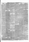 Portadown News Saturday 12 April 1873 Page 3