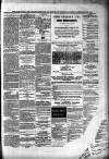 Portadown News Saturday 21 February 1874 Page 3