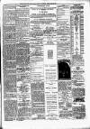 Portadown News Saturday 23 February 1878 Page 3