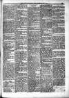 Portadown News Saturday 10 January 1885 Page 5