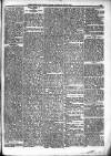 Portadown News Saturday 17 January 1885 Page 5