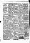 Portadown News Saturday 01 January 1887 Page 8