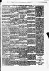 Portadown News Saturday 15 January 1887 Page 5