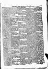 Portadown News Saturday 19 February 1887 Page 5