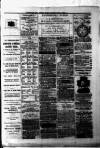 Portadown News Saturday 05 March 1887 Page 3