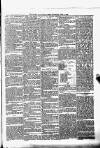Portadown News Saturday 11 June 1887 Page 5
